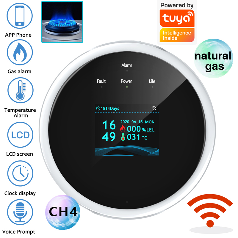 Home Security App - Sensore di Allarme Gas WiFi 2.4G,