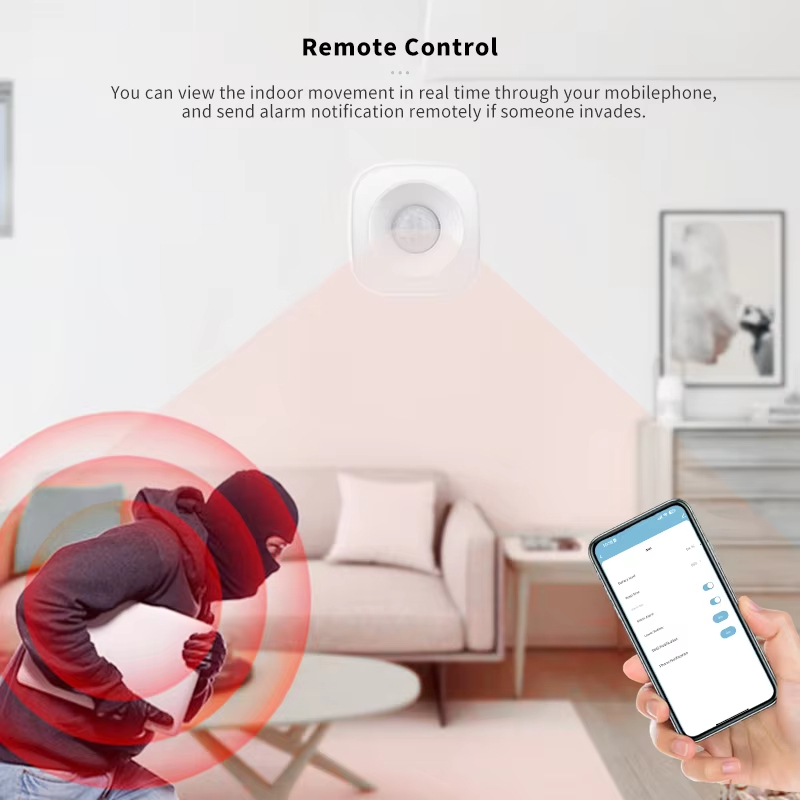 Tuya ZigBee/WiFi Sensore di mo - Home Security App recensione e prezzo